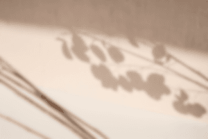 Wat is orthomoleculaire therapie